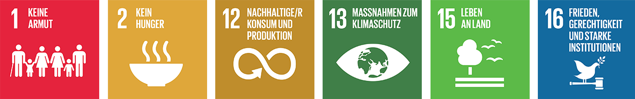 SDGs